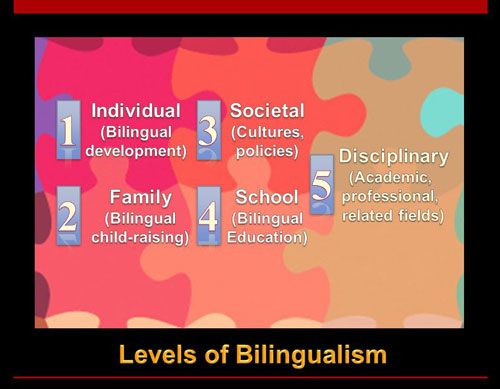 Bilingual education term paper