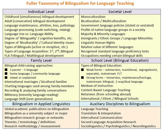 Bilingual education term paper
