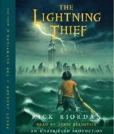 the lightning thief essay