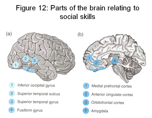 Figure 12