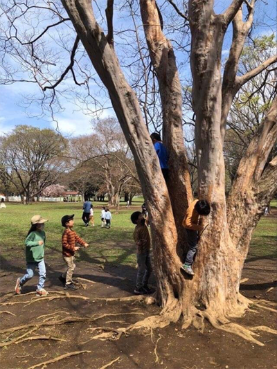 https://www.childresearch.net/projects/gif/report_02_298_1.png